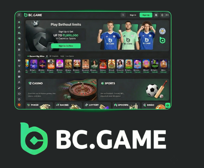 Current BC.Game Mirror Links Stay Connected and Play Safely